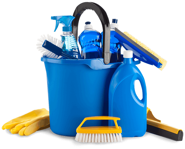 Mold Cleaning Products