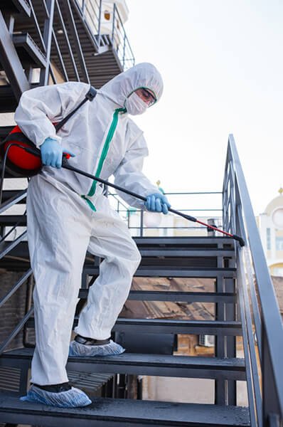 Commercial Mold Remediation Services Chesapeake Va